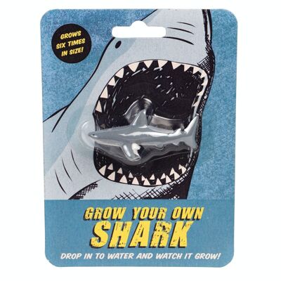 Haz crecer tu propio tiburón de juguete