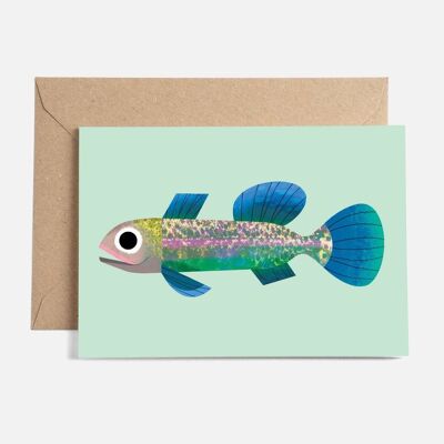 Carta dei pesci piccoli