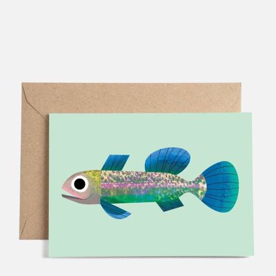 Tiny Fish Card