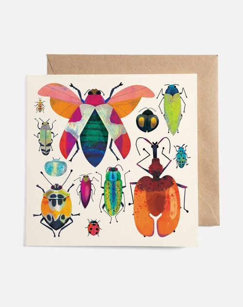 Bug Collection Card