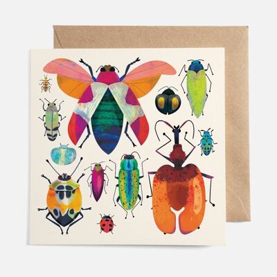 Bug Collection Card