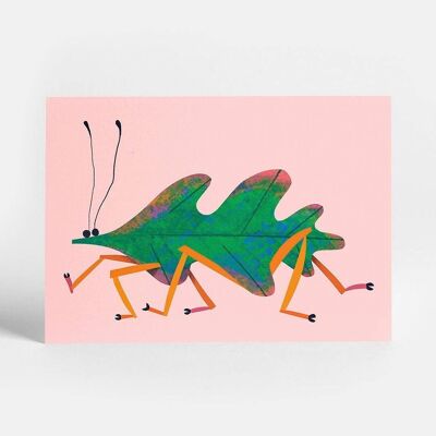 Blatt-Insekten-Postkarte