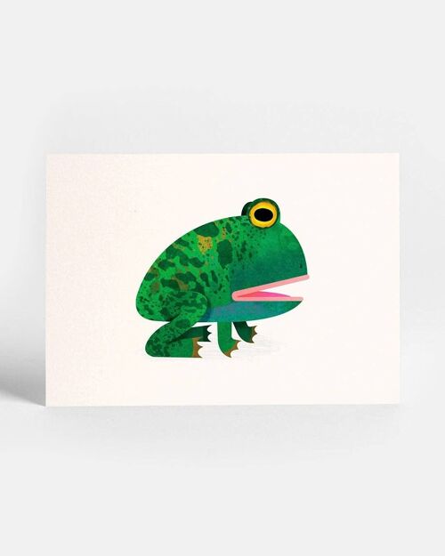 Toad Postcard