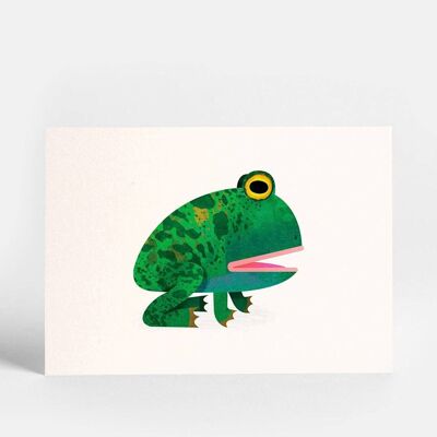 Toad Postcard