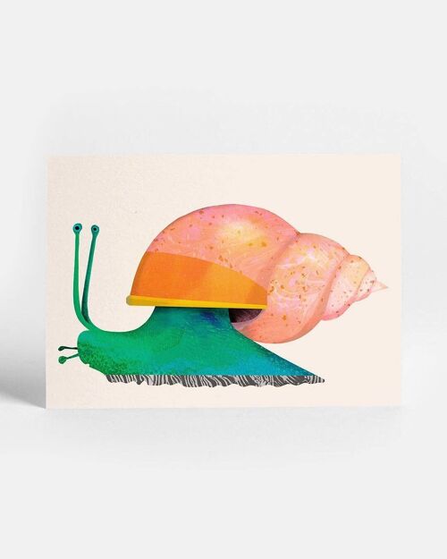 Snail Postcard