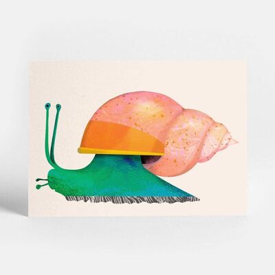 Snail Postcard