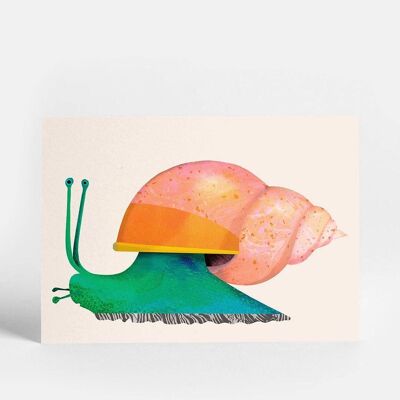 Escargot Carte postale