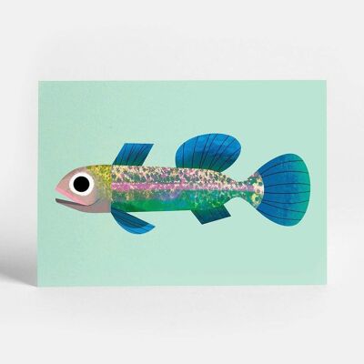 Kleine Fisch-Postkarte