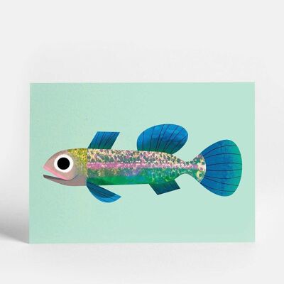 Kleine Fisch-Postkarte