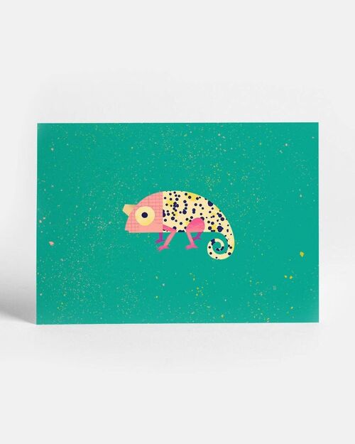 Chameleon Postcard
