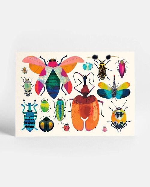 Bug Collection Postcard