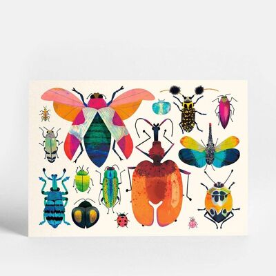 Bug-Sammlung-Postkarte