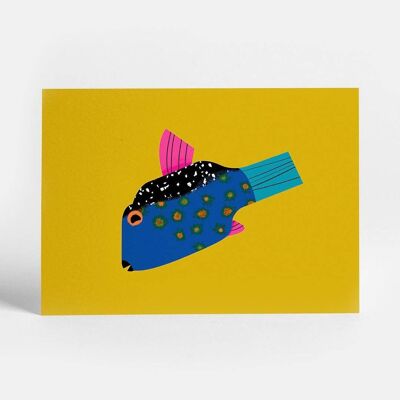 Boxfish Postcard
