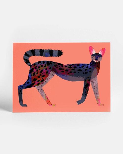 Black Serval Postcard