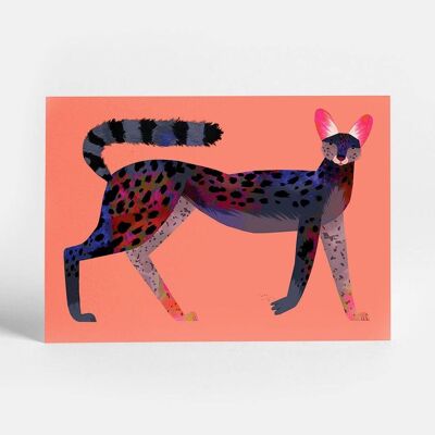 Serval noir Carte postale
