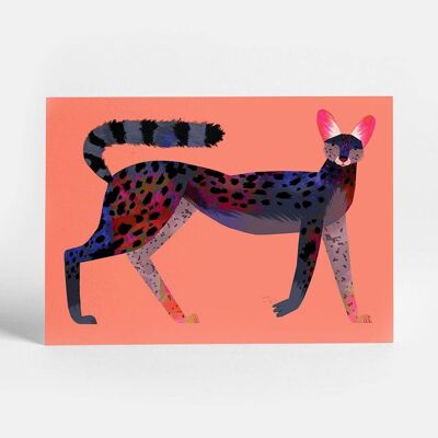 Black Serval Postcard