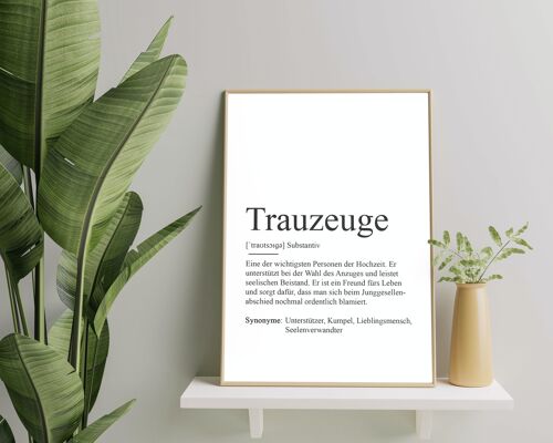 Poster TRAUZEUGE Definition