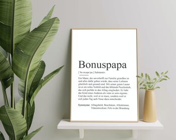 Affiche BONUS PAPA Définition 1