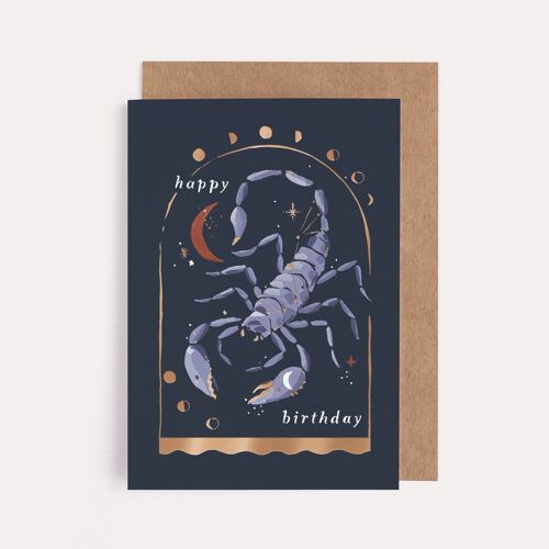 Birthday Cards "Scorpion" Zodiac Birthday Cards | Scorpio Star Sign | Astrology Card | Scorpio Birthday Card | Horoscope Birthday Cards | Zodiac Cards | Scorpio Cards