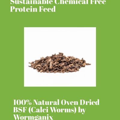 Wormganix 100% Natural Dry Oven Dried BSF Black Soldier Fly Larvae Calci Worms 1 Litre Paper Packaging