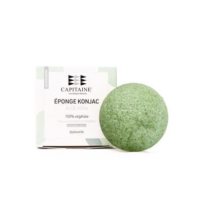 Éponge Konjac - Aloe Vera - En étui