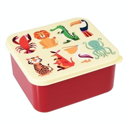 Sandwich lunch box - Colourful Creatures