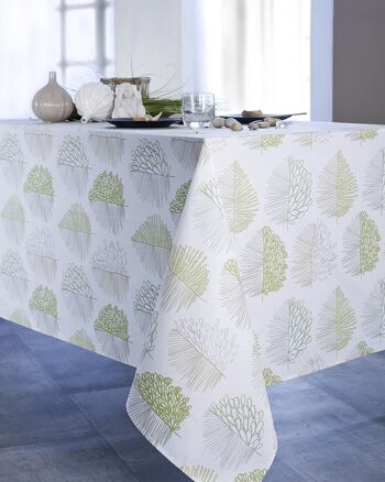 Nappe coton enduit - Angha Jade RECT 160x300