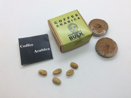 5 GRAINES - COFFEE ARABICA