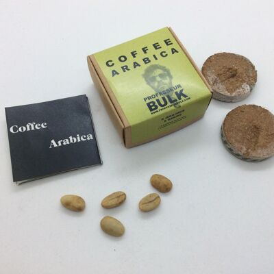 5 GRAINES - COFFEE ARABICA