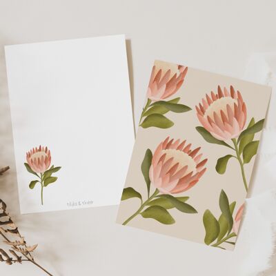 Postkarte - Protea Boho Blume