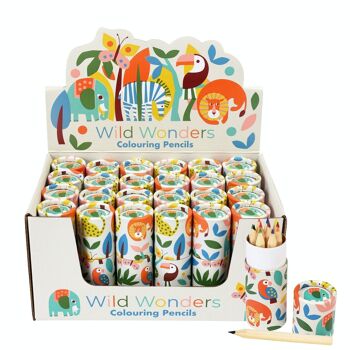 Tube de crayons de couleur - Wild Wonders 1