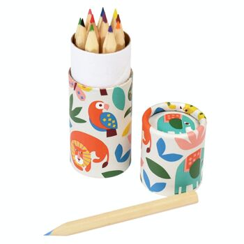 Tube de crayons de couleur - Wild Wonders 3