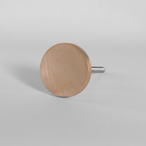 Round Flat Knob Brushed Brass- by Bombay Duck