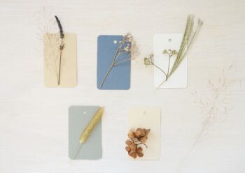 Petites cartes décorées de plantes séchées • thème Fleurs 3