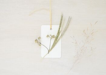 Petites cartes décorées de plantes séchées • thème Fleurs 4
