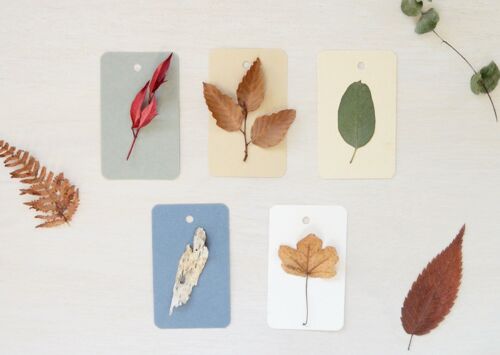 Petites cartes décorées de plantes séchées • thème Feuillages
