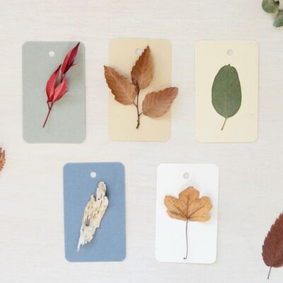 Pequeñas tarjetas decoradas con plantas secas • Tema de follaje