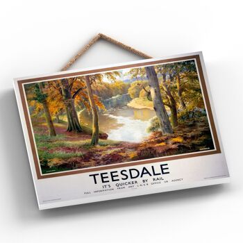 P0201 - Affiche originale des chemins de fer nationaux de Teesdale Lake sur une plaque décor vintage 2