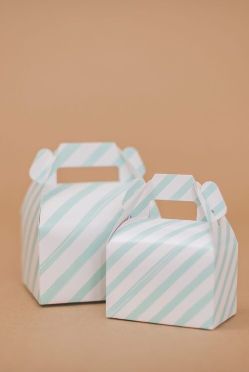 Favor Boxes Small Stripes Mint