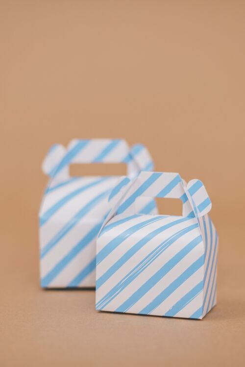 Favor Boxes Small Stripes Baby Blue