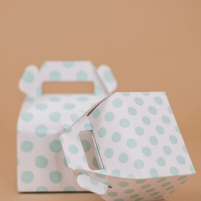 Cajas de regalos Large Dots Mint