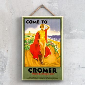 P0350 - Cromer Poppies Grow Affiche originale des chemins de fer nationaux sur une plaque décor vintage 1