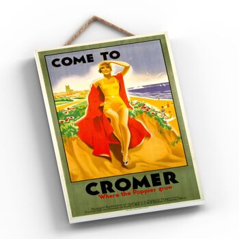 P0350 - Cromer Poppies Grow Affiche originale des chemins de fer nationaux sur une plaque décor vintage 2