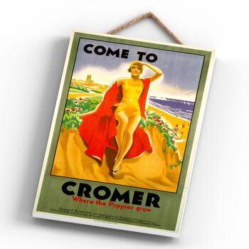 P0350 - Cromer Poppies Grow Affiche originale des chemins de fer nationaux sur une plaque décor vintage 4