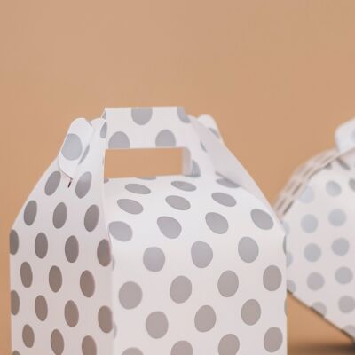 Favor Boxes Large Dots Silver