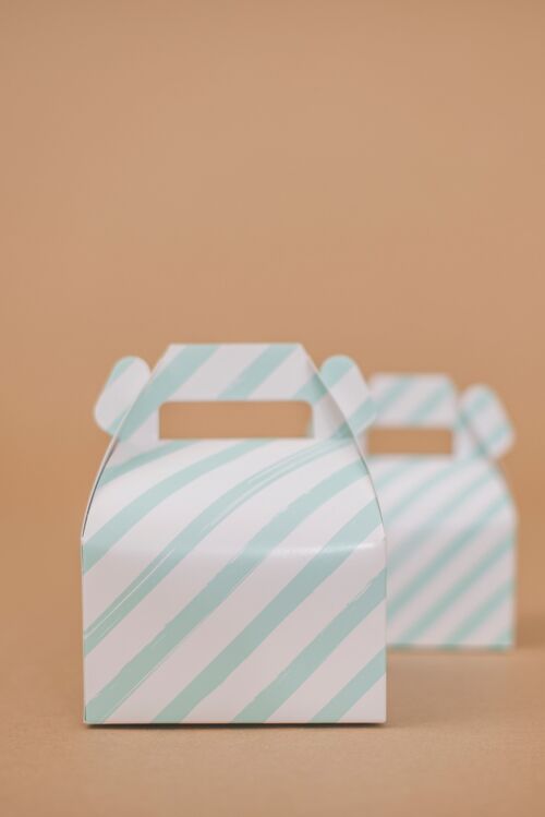 Favor Boxes Large Stripes Mint