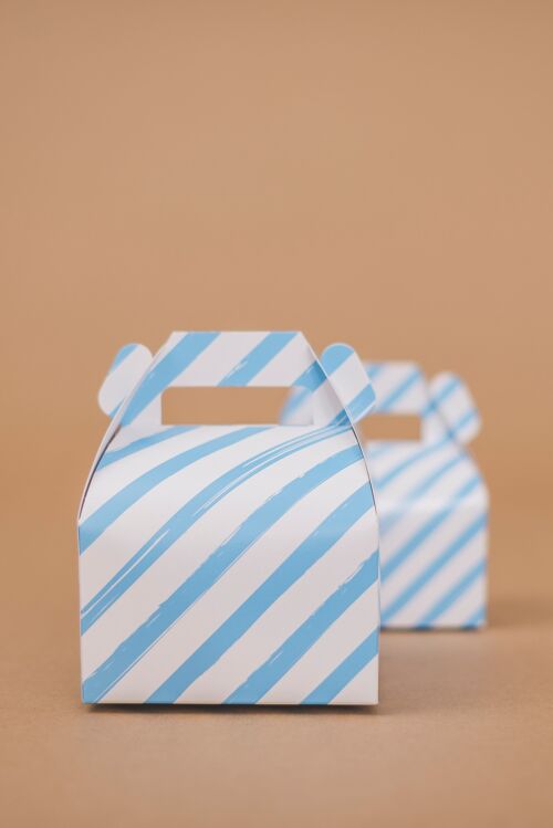 Favor Boxes Large Stripes Baby Blue