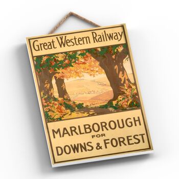 P0533 - Marlborough Downs Forest Affiche originale des chemins de fer nationaux sur une plaque décor vintage 2