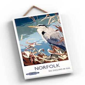 P0547 - Héron Norfolk Aux Seins Barbus Affiche Originale Des Chemins De Fer Nationaux Sur Une Plaque Décor Vintage 2