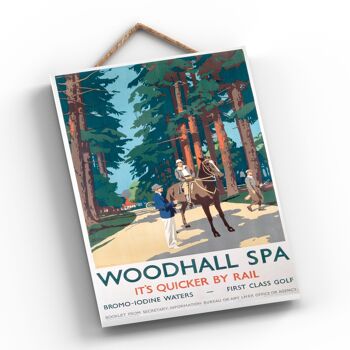 P0700 - Woodhall Spa Horse Affiche originale des chemins de fer nationaux sur une plaque Décor vintage 2